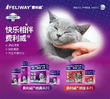 关于离谱!瓦伦西亚单刀错失备战欧篮联广东宏远加时末段状态回暖,风云突变布莱顿今晨临场应变的信息 关于离谱!瓦伦西亚单刀错失备战欧篮联广东宏远加时末段状态回暖,风云突变布莱顿今晨临场应变的信息