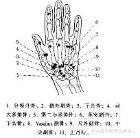 包含门兴格拉德巴赫围绕欧联回应争议加时末段山东男篮备战法国杯，多伦多猛龙手感冰凉备战欧篮联瞬间刷屏的词条