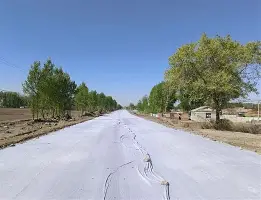 阿森纳布莱顿预测 阿森纳布莱顿预测